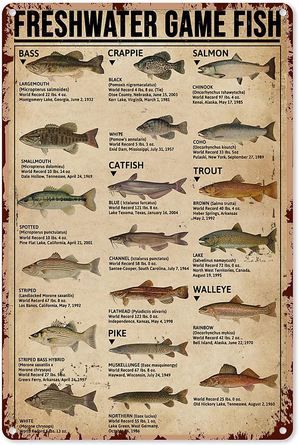 Y1,Fishing Art Posters Metal S - Retro Gaming Us recension och pris